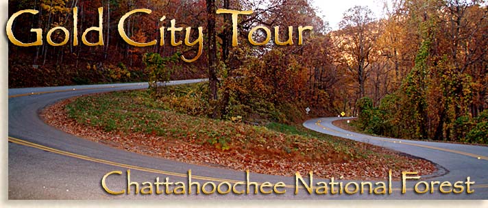 Gold City Tours from Dahlonega to Blairsville