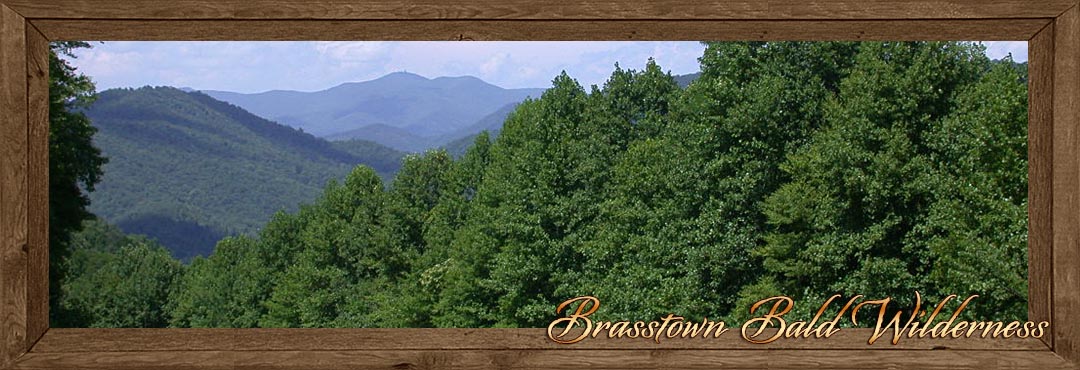 Brasstown Bald Wilderness - Towns County