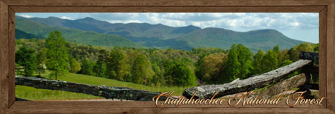 Chattahoochee National Forest - Towns County Georgia