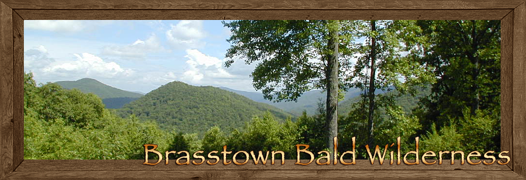 Brasstown Bald Wilderness