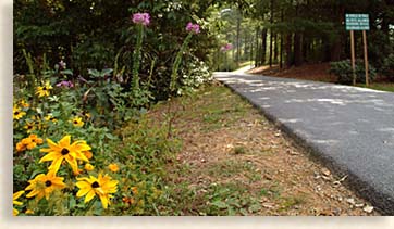 Meeks Park in Blairsville Georgia