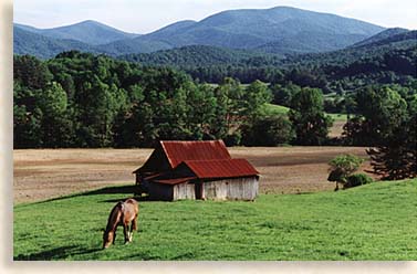 horse and barn Union County Georgia