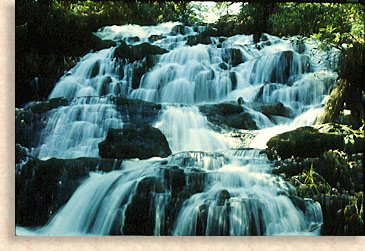 Trahlyta Falls at Vogel State Park