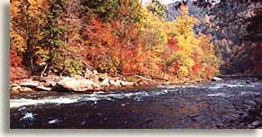 Ocoee River during Fall Season