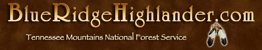 Western North Carolina National Forest Service