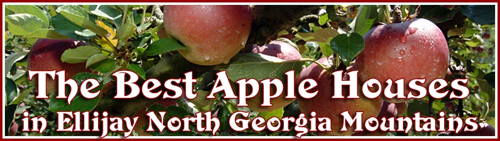 Apple Orchards in Ellijay Georgia