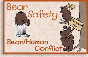 Bear and Human Conflict