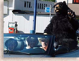 Gatlinburg Bears