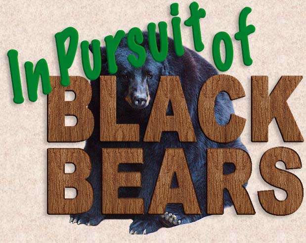 Pursuit of the Black Bear