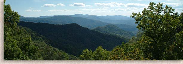 Mountain Black Bear Overlook