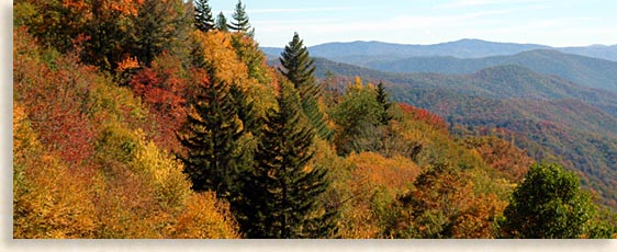 Great Smoky Mountains in the Autumn