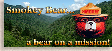 Smokey Bear....Bear on a Mission!