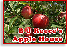 The Best Apple Houses in Ellijay Georgia.