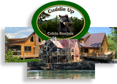 Cabin Rentals in Blue Ridge Georgia