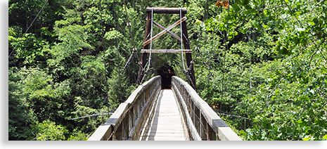 Swinging Bridge on the
Benton MacKaye and Duncan Ridge Trail