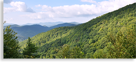 Hog Pen Gap and the Appalachian Trail