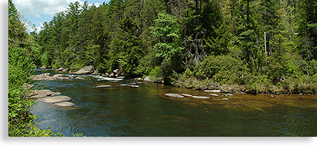 Toccoa River