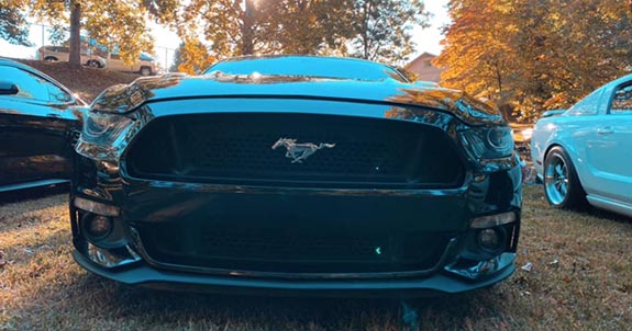 Regional Shelby / Mustang & Ford Show