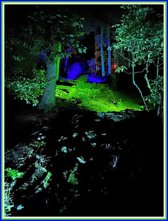 Park After Dark