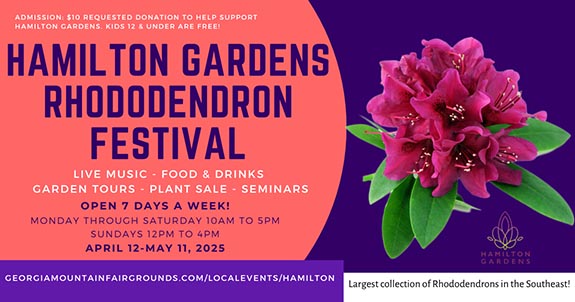 Rhododendron Festival in North Georgia Mountains