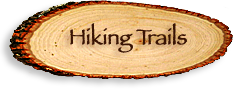 Hiking Trails in the Mountains