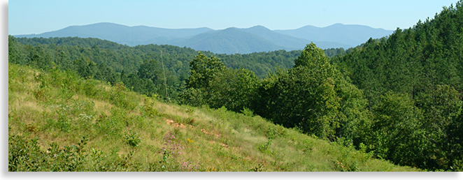 Mountain Vista of Cherokee County