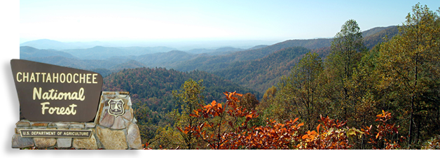 chattahoochee national forest