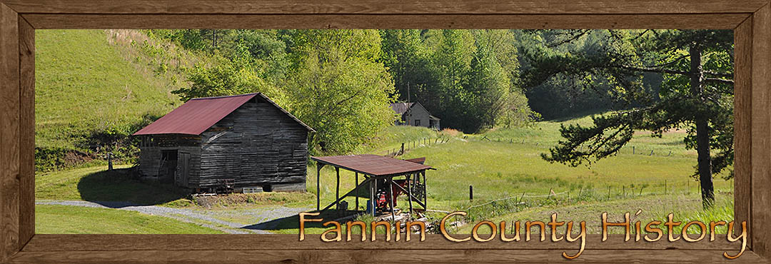 Fannin County Georgia History