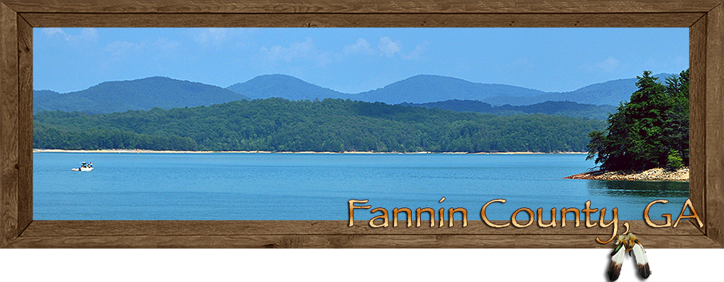 Fannin County Georgia