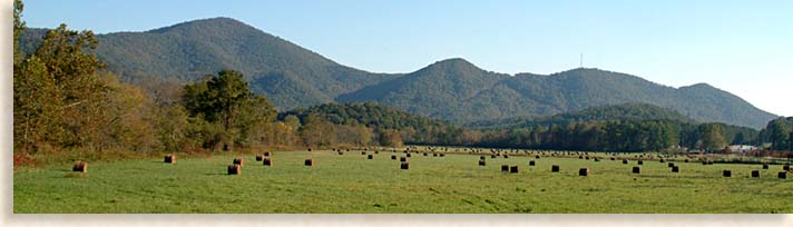 Mountain Fields in Rabun County