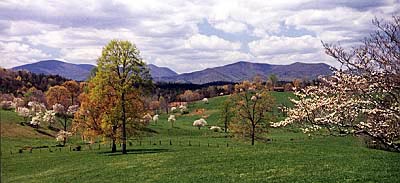 fannin county mountains