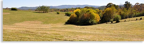South Gilmer County Meadows and Mountains