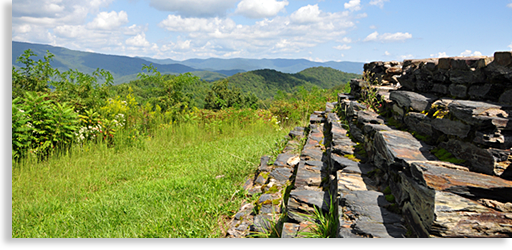 Cohutta Wilderness Overlook