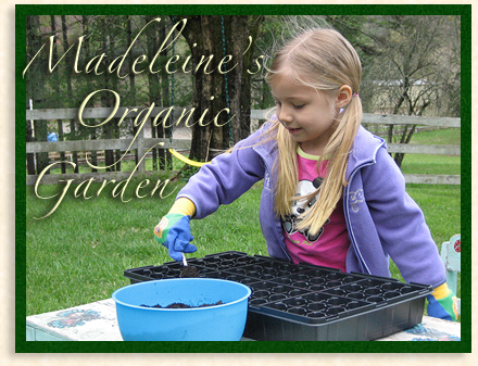 Madeleine's Organic Garden