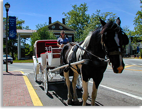 Horsedrawn Carriage, Gold City Corral