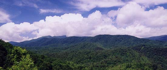 Cohutta Wilderness