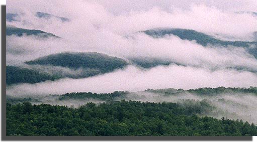 Blue Ridge Mountain Mist