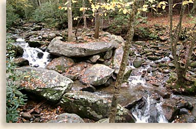 Creeks and Rock Formations in the Smokies