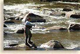 fly fishing in the smoky mountains
