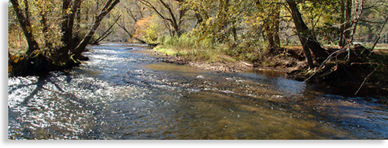 Hiawassee River In The North Georgia Mountains