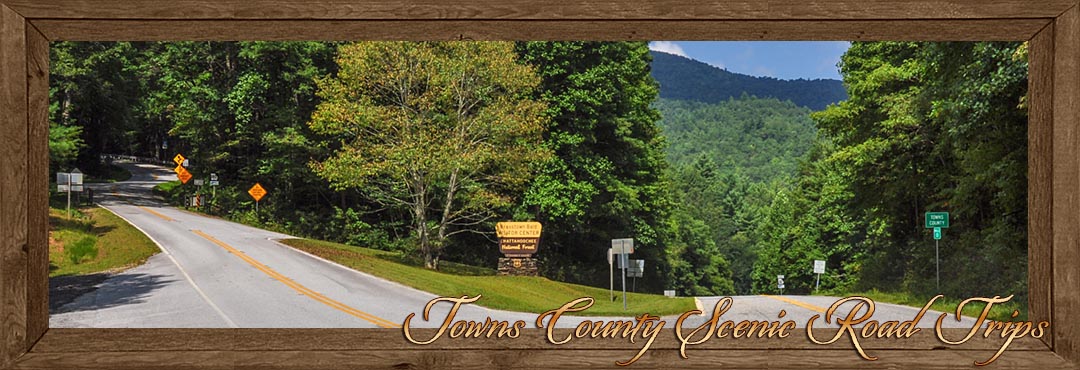Scenic Road Trips  - Towns County