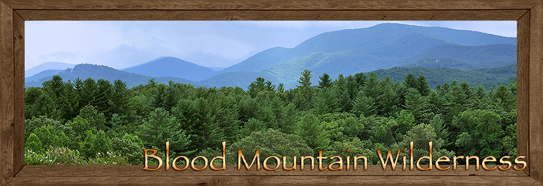 Blood Mountain Wilderness