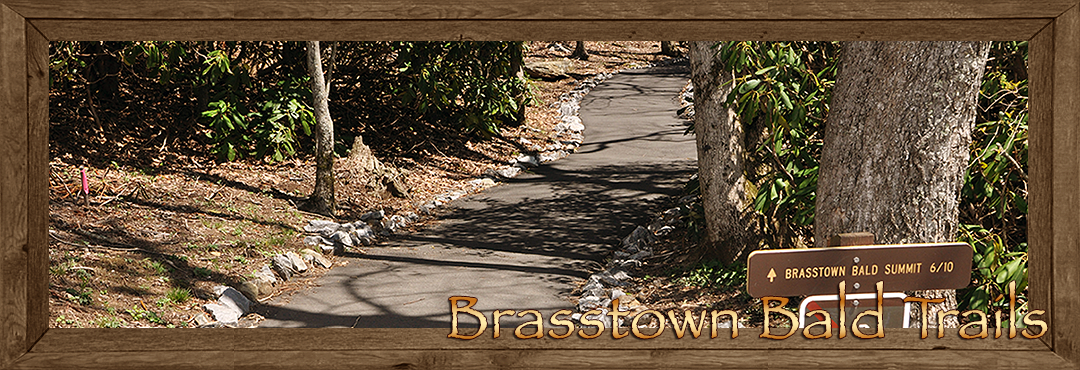 Brasstown Bald Trails
