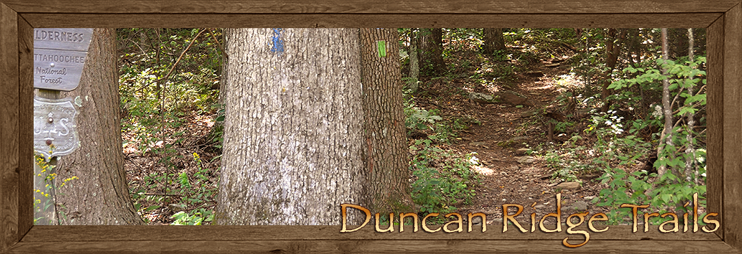 Duncan Ridge Trails