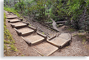 Wolf Creek Falls Trail