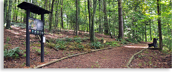 Georgia Mountain Research Woodland Medicine Trail