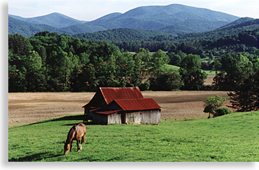 Horse and Barn with Blood Mountain in the background in Union County Georgia