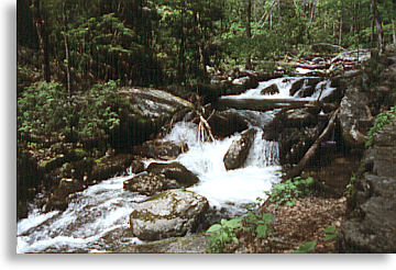 Anna Ruby Creek