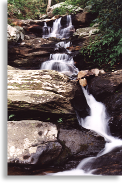 Gold Mine Creek Falls