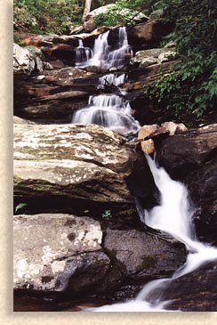 Gold Mine Creek Falls